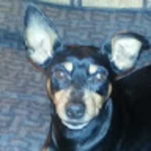 Meet your Posher, Roger